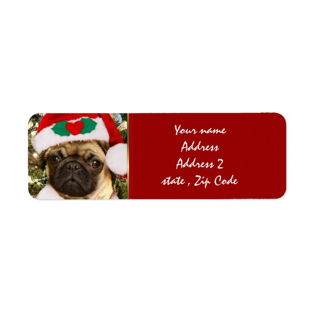 Christmas Pug dog (Front)