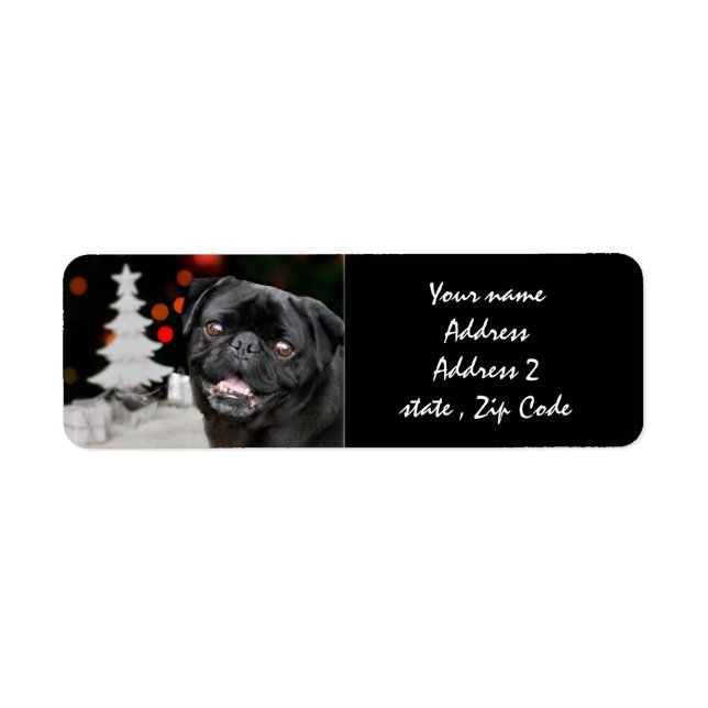 Christmas pug dog (Front)
