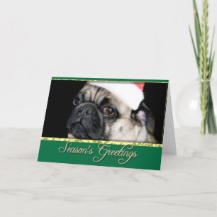 Christmas pug dog holiday card
