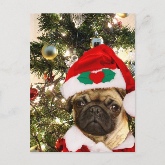 Christmas Pug dog Holiday Postcard (Front)