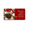 Christmas Pug dog
