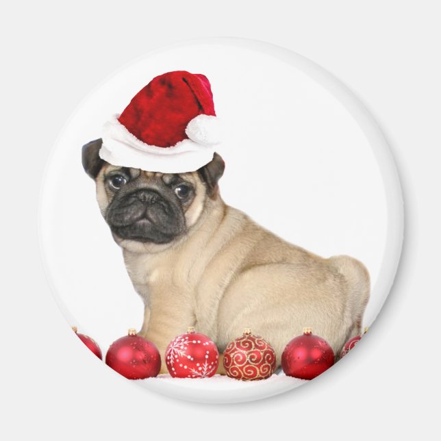 Christmas pug dog magnet (Front)