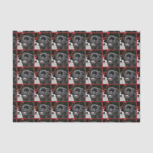Christmas pug dog tissue paper