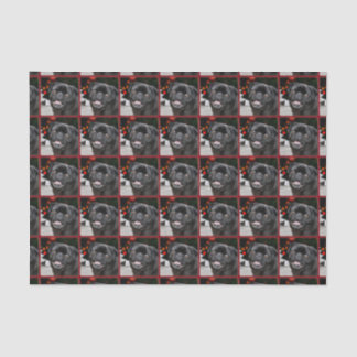 Christmas pug dog tissue paper