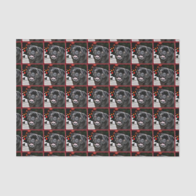 Christmas pug dog tissue paper (Front)