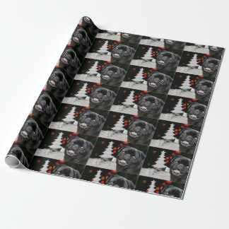 Christmas Pug Dog wrapping paper