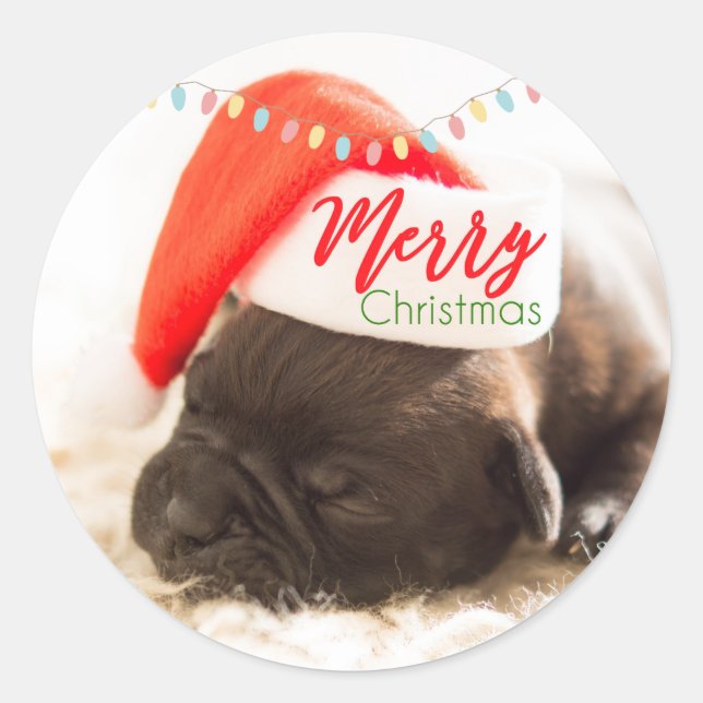 Christmas Pug in Santa Hat with Christmas Lights Classic Round Sticker (Front)