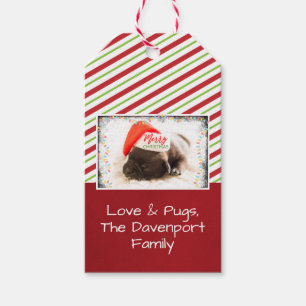 Christmas Pug in Santa Hat with Christmas Lights Gift Tags