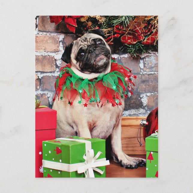 Christmas - Pug - Lily Lou Holiday Postcard (Front)