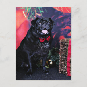 Christmas - Pug - Little Moe Holiday Postcard