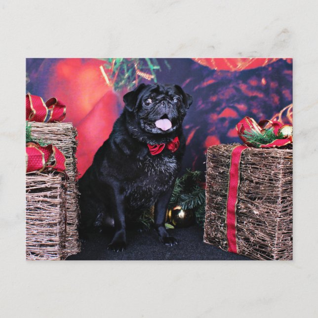 Christmas - Pug - Little Moe Holiday Postcard (Front)