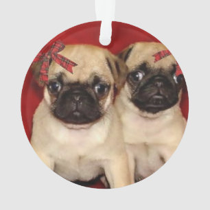 Christmas pug puppies ornament