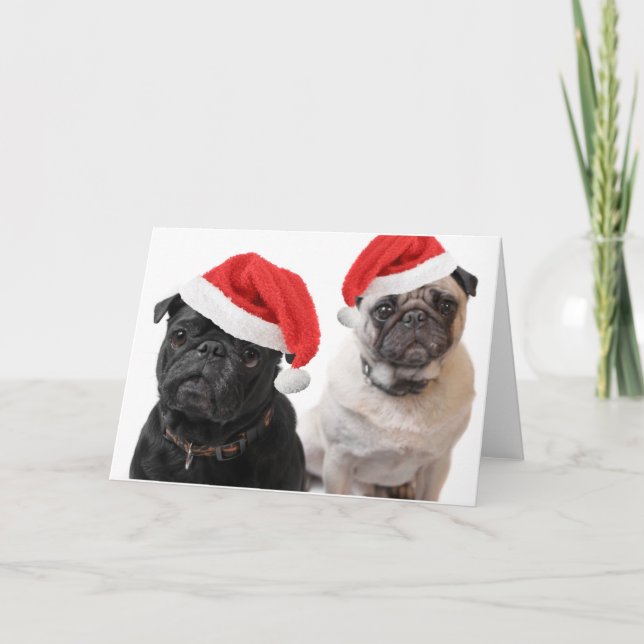 christmas pugs holiday card (Front)