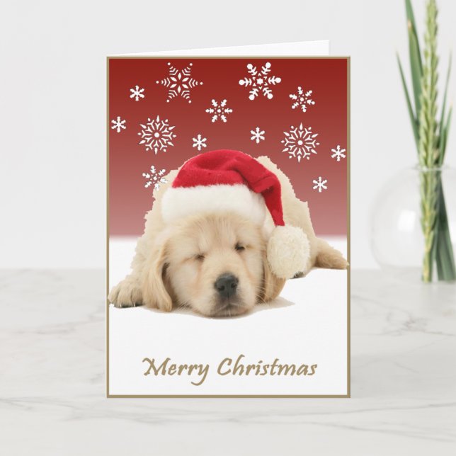 Christmas Pup Holiday Card (Front)