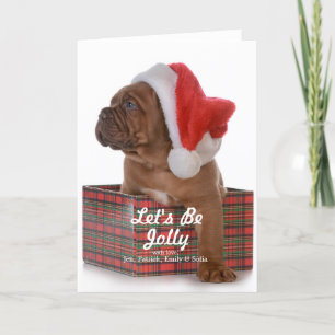 Christmas Puppy As Santa Holiday Card