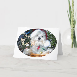 christmas puppy holiday card