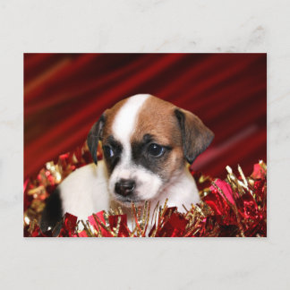 Christmas puppy holiday postcard