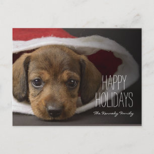 Christmas puppy holiday postcard