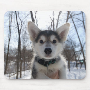 Christmas Puppy Mouse Pad