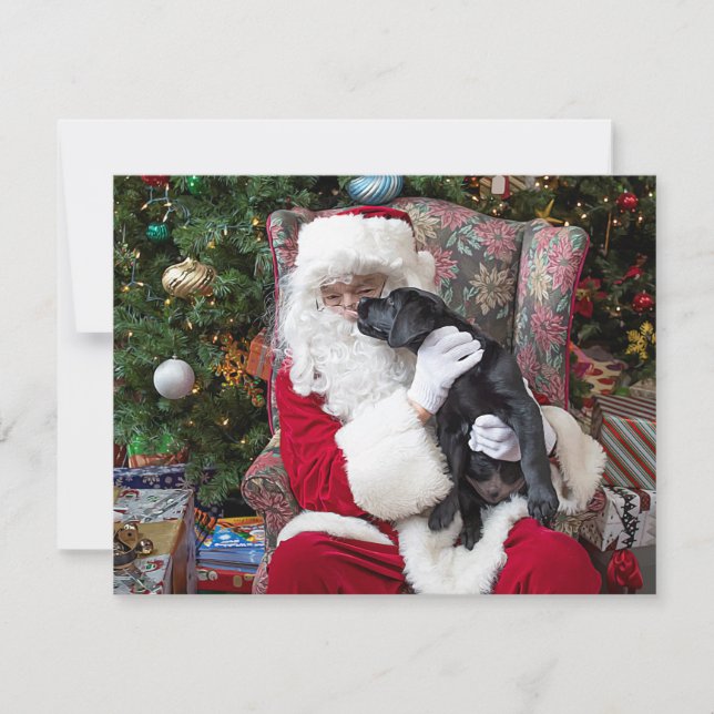 Christmas Puppy Santa Claus Black Labrador Holiday Card (Front)