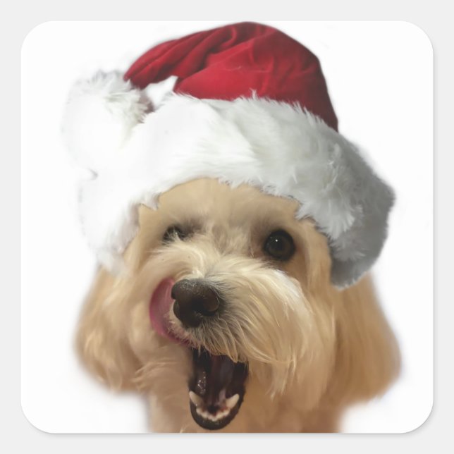 Christmas Puppy Sticker Sheet! (Front)