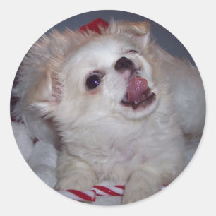 Christmas Puppy Stickers