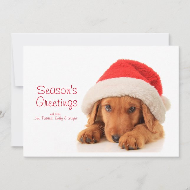 Christmas Puppy Wearing A Santa Hat Holiday Card (Front)