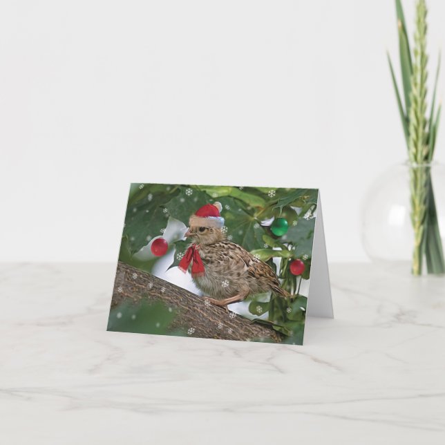 Christmas Quail Chick Card (Front)