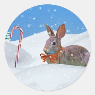 Christmas, Rabbit, Snow, Candy Canes Classic Round Sticker