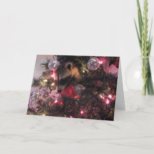 Christmas Raccoon Holiday Card