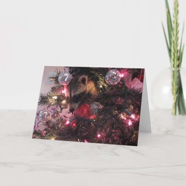 Christmas Raccoon Holiday Card (Front)