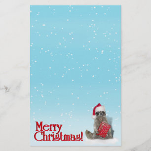Christmas Raccoon with Present Stationery