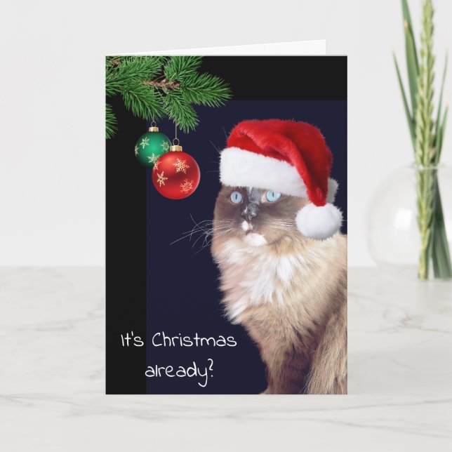 Christmas Ragdoll Cat Humour Card (Front)