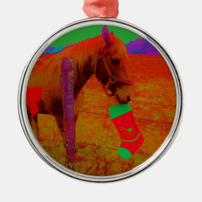 Christmas Rainbow Horse Metal Ornament (Front)