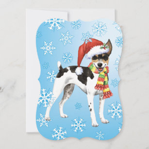 Christmas Rat Terrier Holiday Card