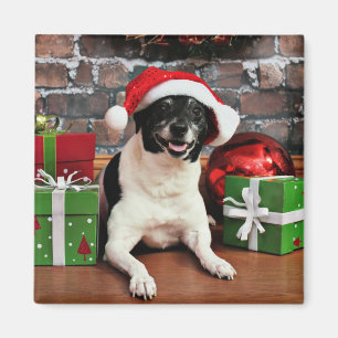 Christmas - Rat Terrier - Sparky Magnet