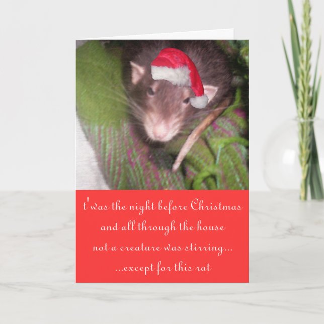 Christmas rats holiday card (Front)