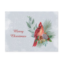 Christmas Red Cardinal Business Watercolor