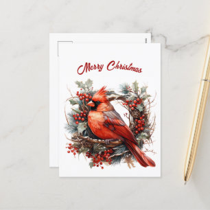 Christmas Red Cardinal Illustration Holiday Postcard