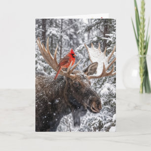 Christmas Red Cardinal On Snowy Moose Antlers Card