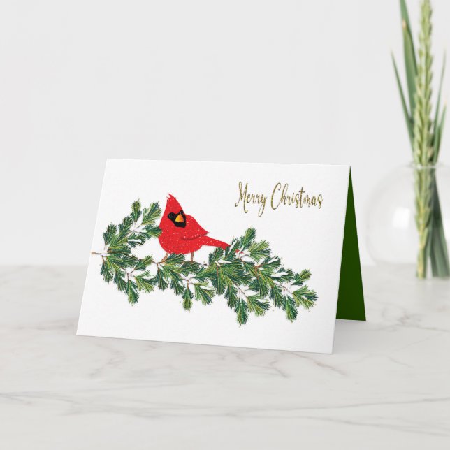 Christmas  Red Cardinal Perched on Pine Branch Holiday Card (Front)