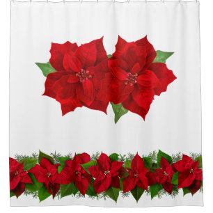 Christmas Red Poinsettias on Beautiful White