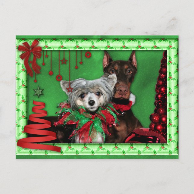 Christmas - Red Ribbon Tree - Doberman Crestie Holiday Postcard (Front)