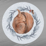 Christmas Red Squirrel Pine Wreath Watercolor Classic Round Sticker<br><div class="desc">Sleeping squirrel in a pine wreath</div>