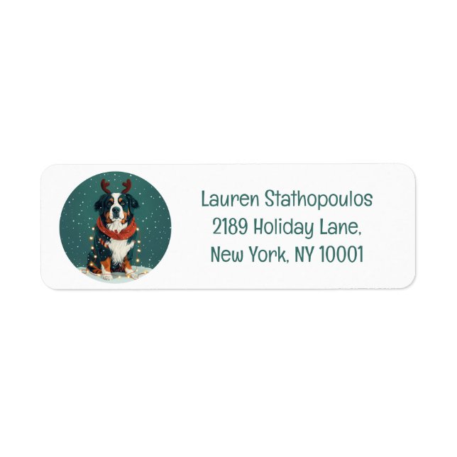 Christmas Reindeer Bernese Mountain Dog (Front)