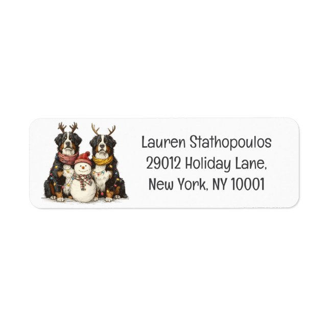 Christmas Reindeer Bernese Mountain Dogs (Front)