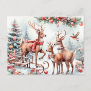  Christmas Reindeer Holiday Postcard
