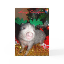 Christmas Reindeer Pig, Greeting Card
