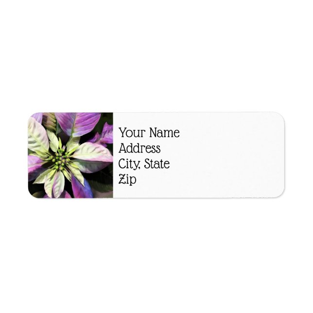 Christmas Return Address Labels- Lav Poinsettias (Front)