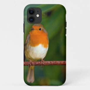 Christmas Robin iPhone 11 Case